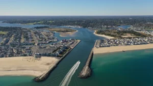 Expert Tree Care in Spring Lake, Sea Girt, and Manasquan
