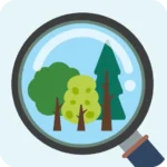 my tree id app