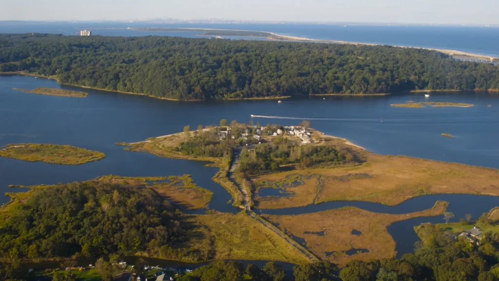 Rumson’s Trusted Experts in Tree Preservation and Aesthetic Pruning