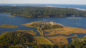 Rumson’s Trusted Experts in Tree Preservation and Aesthetic Pruning
