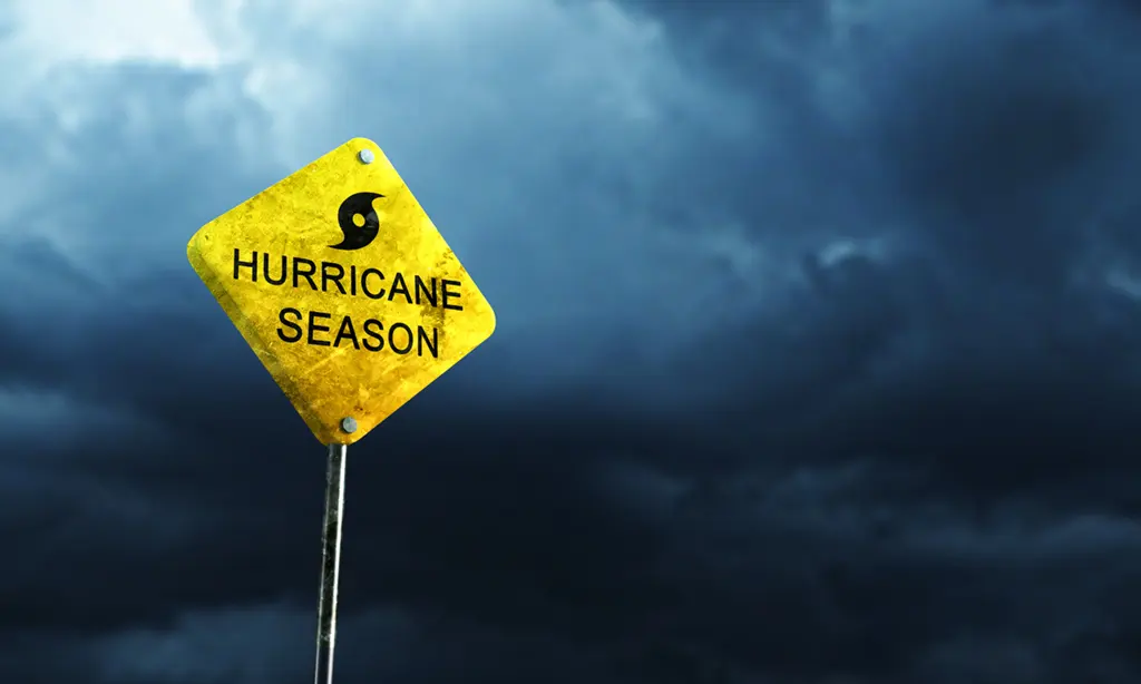 Rumson’s Trusted Experts in Tree Preservation and Aesthetic Pruning 4 Hurricane Season