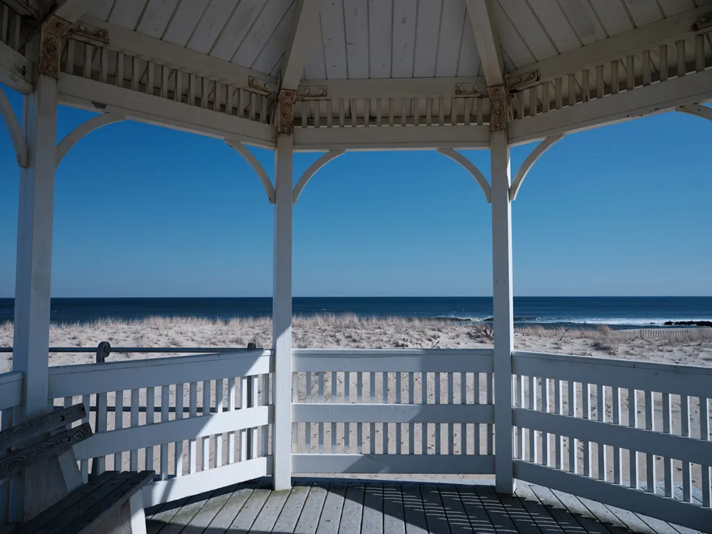 Sea Girt Tree Service