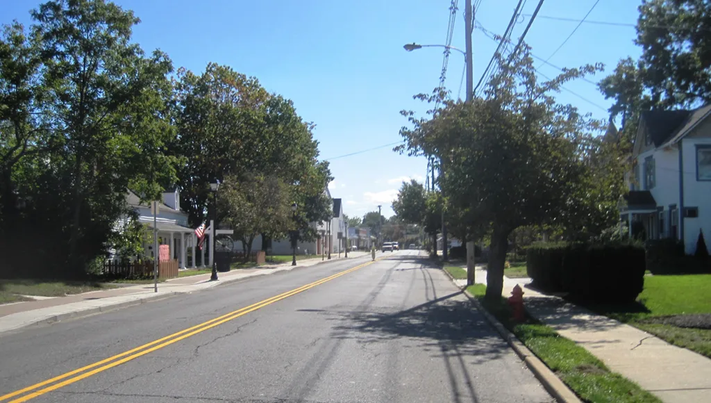 Specialty Tree Trimming in Freehold, Colts Neck & Farmingdale 4 Farmingdale NJ