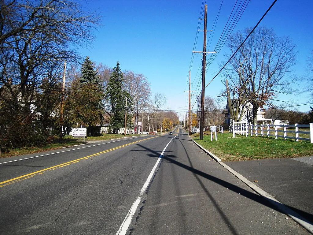 Expert Tree Trimming in Morganville, Marlboro, and Old Bridge NJ 1 Morganville NJ copy