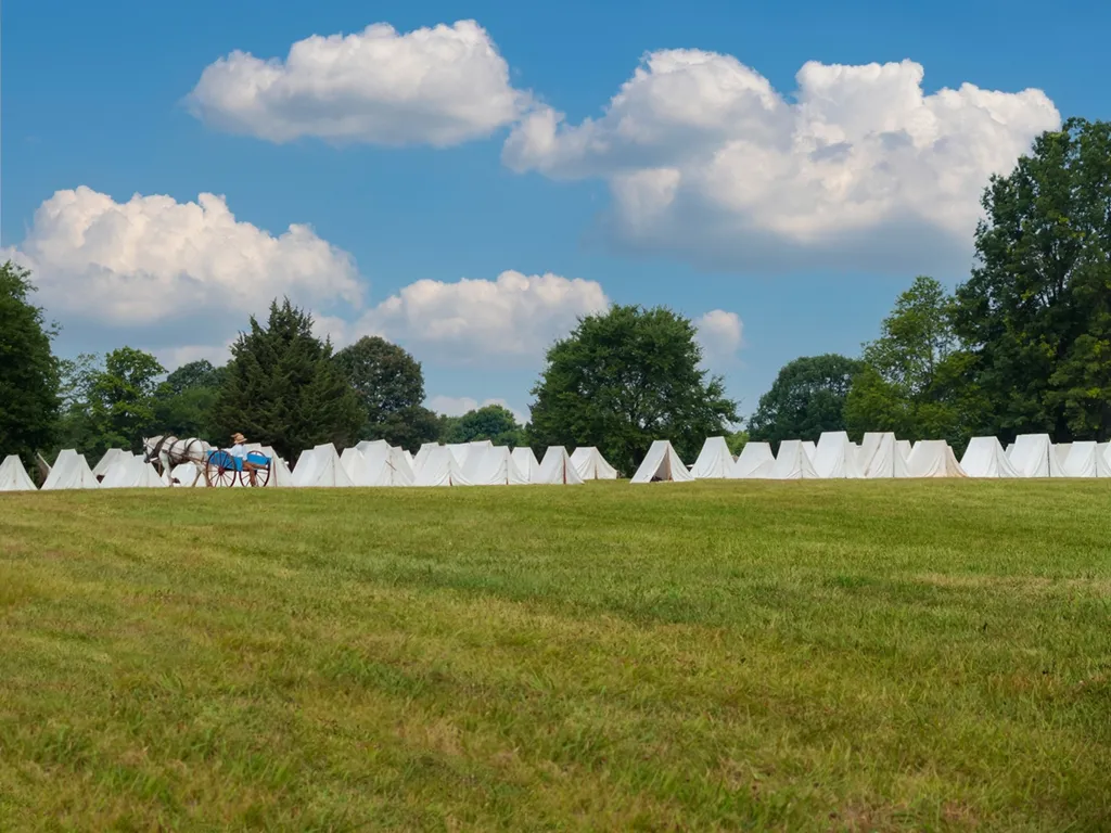 Freehold field with trees