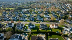 Tree Service in Freehold: Storm Prep, Trimming, Restoration & Removal