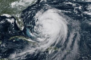 Tree Service in Shrewsbury NJ: Expert Trimming, Pruning, and Canopy Shaping 20 Hurricane Erin’s Winds Test Trees Across Eastern Monmouth County