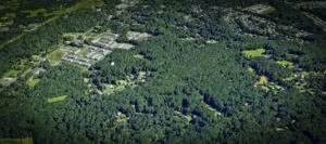 Morganville’s #1 Tree Service Experts: Trimming, Restoration, Removal
