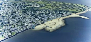 Expert Tree Service in Union Beach, NJ: Trusted Local Arborists for Every Need
