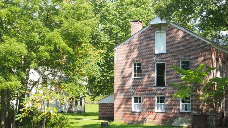 Tree Rejuvenation and Storm Proofing for Wall Township NJ Homes