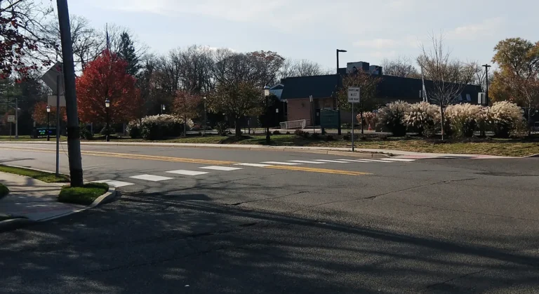 Precision Tree Service in Ocean Township, NJ
