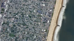 Tree Service Near Bradley Beach: Healthy Trees Along the Shore