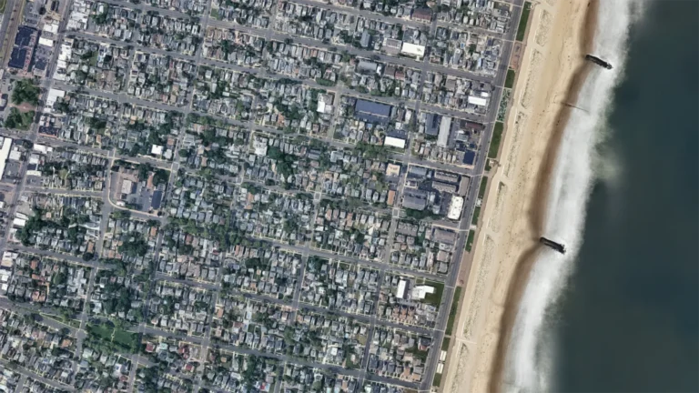 Tree Service Near Bradley Beach: Healthy Trees Along the Shore