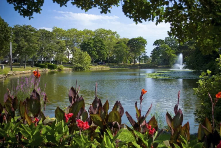 Tree Trimming & Restoration in Spring Lake