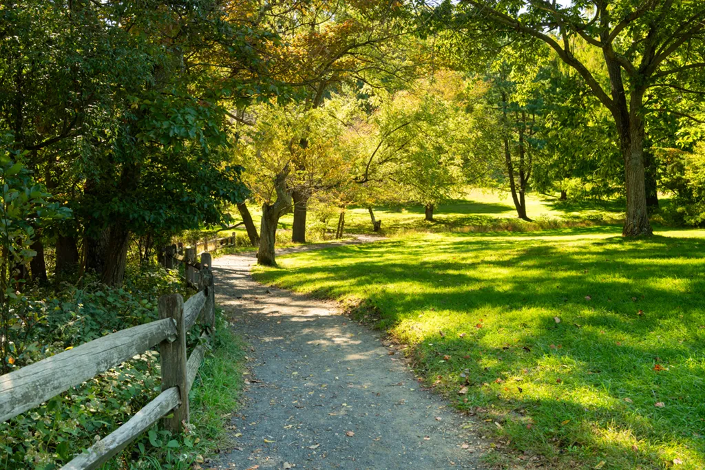 Expert Seasonal Tree Trimming in Holmdel Township, NJ 1 Trees In Holmdel: Seasonal Service Recommended