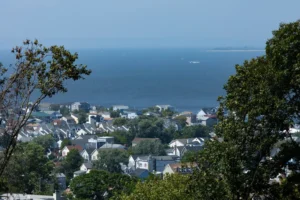 Environmental Spotlight: How Trees Shape Middletown Township