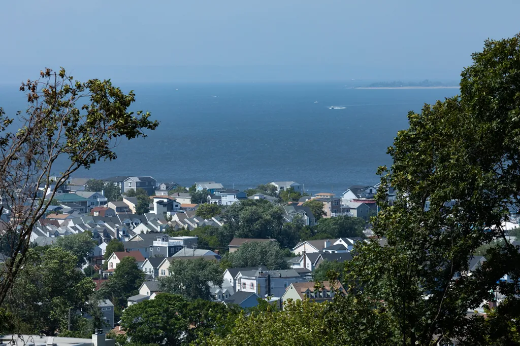 Raritan Bayshore Storm Preparedness: Tree Service for Coastal Communities 1 Hufnagel Sculpts Beautiful View