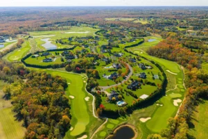 Colts Neck Tree Care & Restoration Experts: Pruning, Trimming, Risk Mitigation