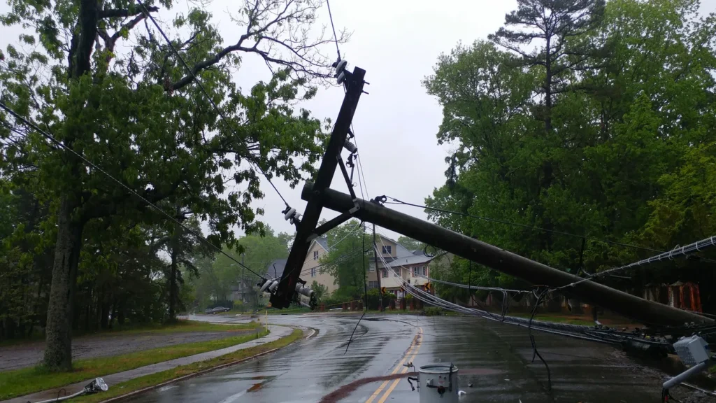 Storm Damaged Trees in Aberdeen: We Can Help