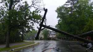 Storm Damaged Trees in Aberdeen: We Can Help