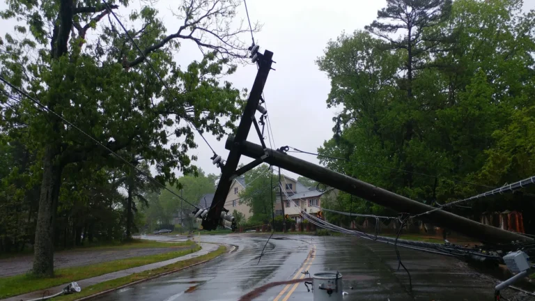 Storm Damaged Trees in Aberdeen: We Can Help