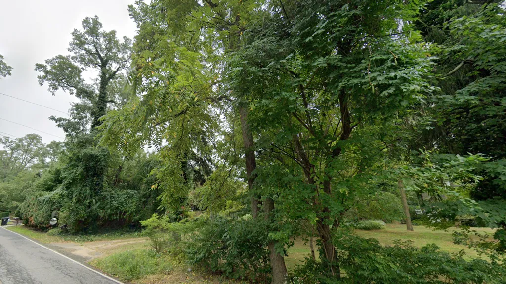 Locust Service Area in Middletown for Hufnagel Tree Service