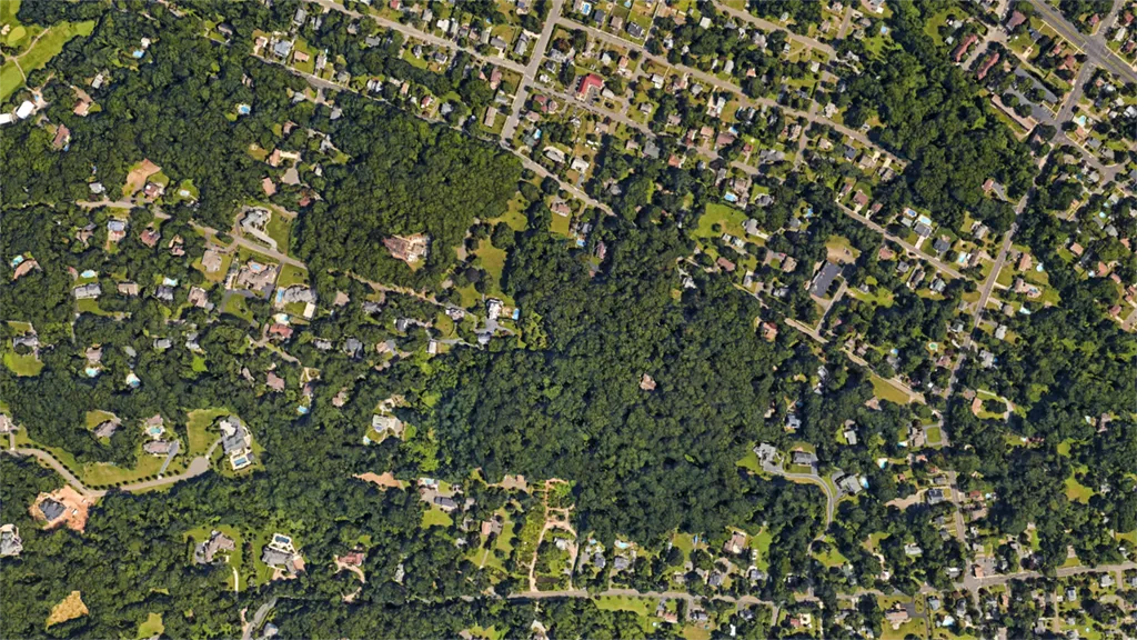 Navesink, NJ Tree Service Coverage Area