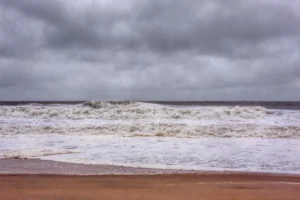 Residents Advised to Prepare Trees for Approaching Nor’easter in Monmouth County