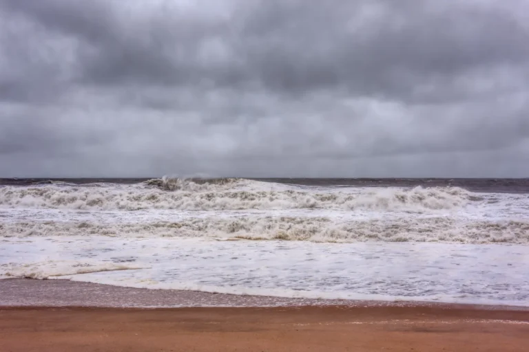 Residents Advised to Prepare Trees for Approaching Nor’easter in Monmouth County