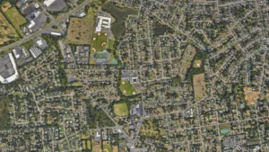 Precision Tree Trimming Experts Near West Long Branch, NJ