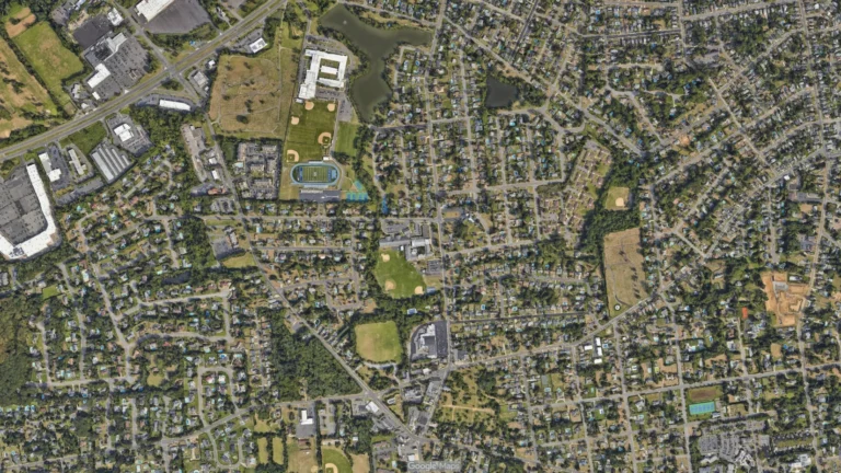 Precision Tree Trimming Experts Near West Long Branch, NJ