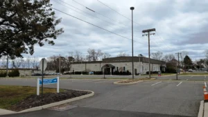 Oceanport Tree Experts: For Safe, Healthy & Beautiful Trees