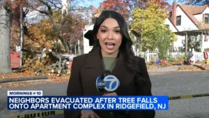 Ridgefield Windstorm Drops Tree Onto Apartment Building: A Wake-Up Call For Monmouth County