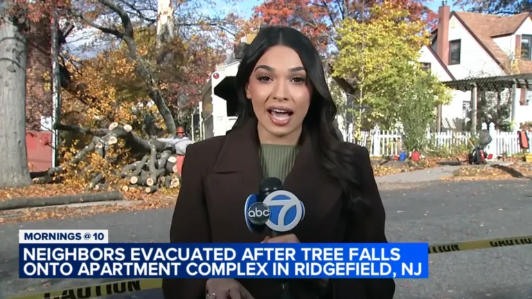 Ridgefield Windstorm Drops Tree Onto Apartment Building: A Wake-Up Call For Monmouth County