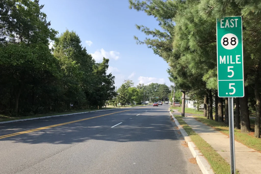 Expert Tree Care in Brick Township Requires More Than Basic Trimming