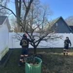 Expert Tree Pruning & Tree Care in Old Bridge, Sayreville, and South Amboy 4 Tree Trimming