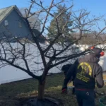 Expert Tree Pruning & Tree Care in Old Bridge, Sayreville, and South Amboy 3 Fast and Effective Tree Service