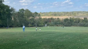 Tree Service in Manalapan Township NJ: Precision Pruning and Arborist Care for High-Value Properties