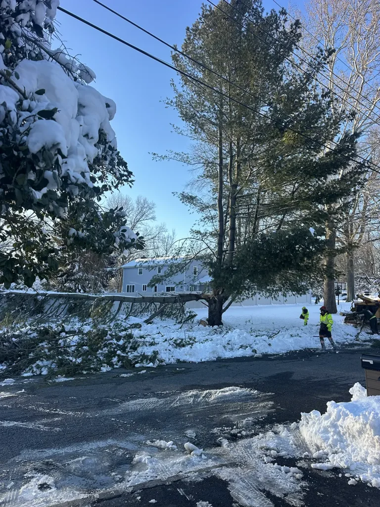 The Aftermath of the NJ Blizzard