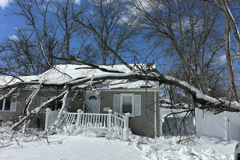 Historic NJ Blizzard of 2026: Your Trees and Home are at Risk