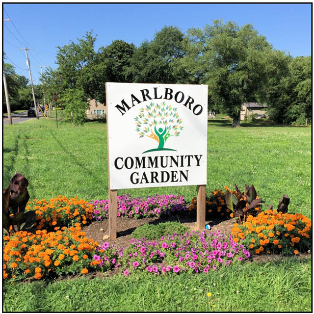 Marlboro Community Garden, Marlboro NJ