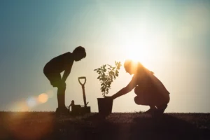 Arbor Day in Monmouth County: Tree Care, Planting, and Mid-Spring Guidance