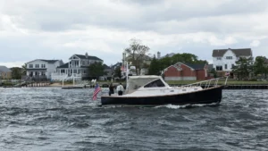 Tree Pruning Near Two Rivers: Beautify and Protect Your Trees