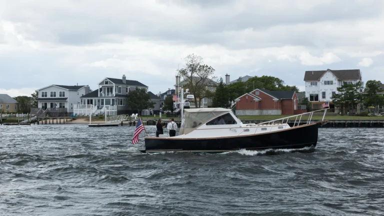 Tree Pruning Near Two Rivers: Beautify and Protect Your Trees