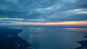 Raritan Bay Area: Coastal Tree Care and Storm Protection by Certified Arborists