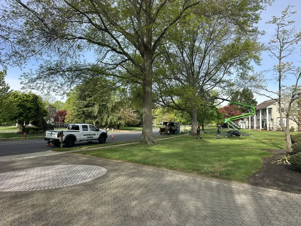 Tree Pruning
