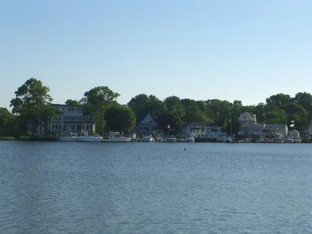 Expert Tree Pruning in Brielle: Riverfront Tree Care