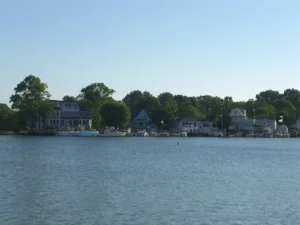 Expert Tree Pruning in Brielle: Riverfront Tree Care