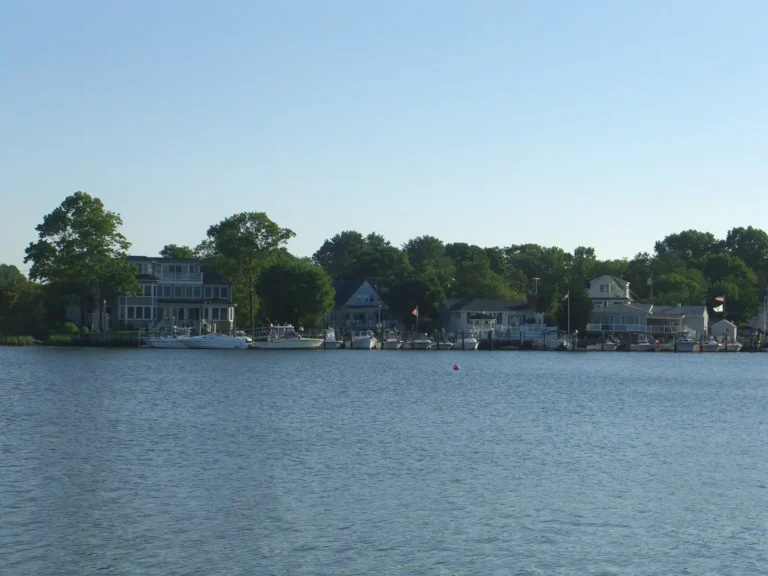 Expert Tree Pruning in Brielle: Riverfront Tree Care