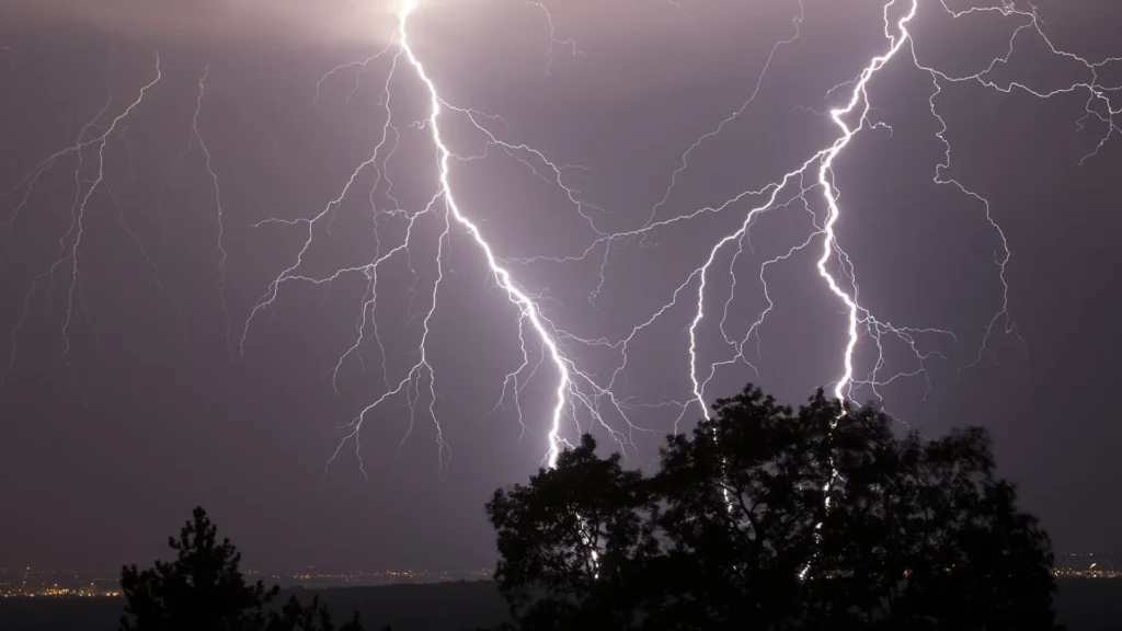 Tree Damage From Lightening Strikes